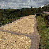 KAYAVE - BURUNDI