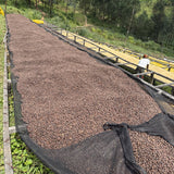 GISHEKE - RWANDA